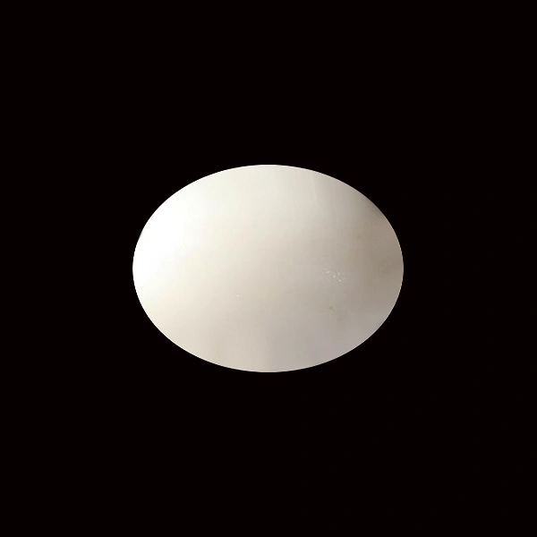 White Coral - 10.76 carats